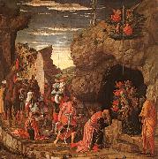 Adoration of the Magi Andrea Mantegna